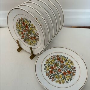 Indian Summer (Corelle) Dinner Plates by CORNING | MCM Dishware set of 11